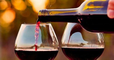Día del Vino Chileno